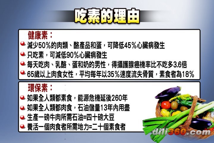 星空真人集团官网
