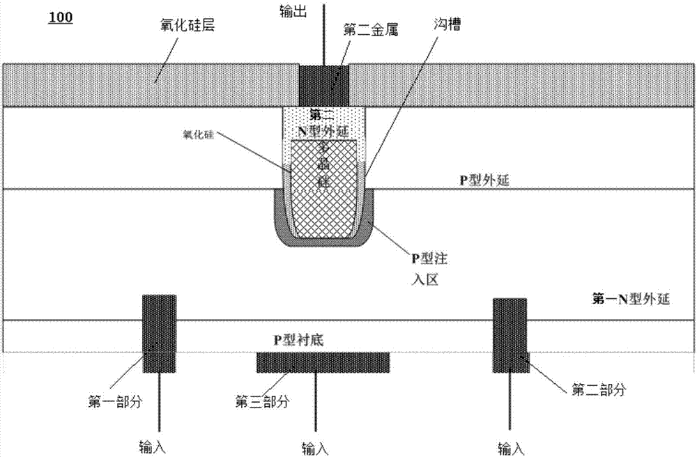 星空真人集团官网