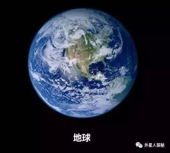 星空真人集团官网