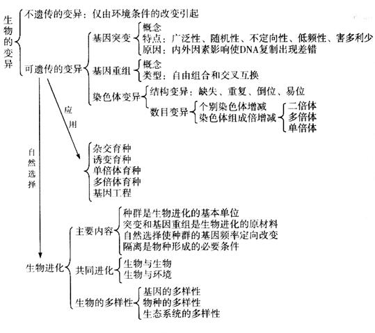 星空真人