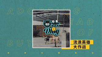 
简朴优雅的轻熟风穿搭 30岁女人早秋这样穿 知性大方显气质【星空真人】