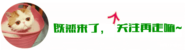 星空真人